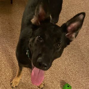 Meet your Posher, Seth